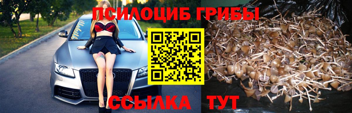 Луховицы  Галлюциногенные грибы Psilocybine cubensis  Псилоцибиновые грибы Psilocybe  Вход с VPN 